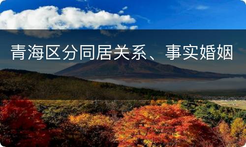 青海区分同居关系、事实婚姻