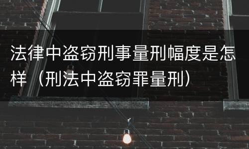 法律中盗窃刑事量刑幅度是怎样（刑法中盗窃罪量刑）