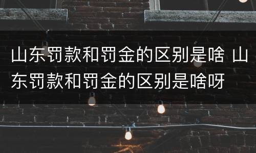 山东罚款和罚金的区别是啥 山东罚款和罚金的区别是啥呀