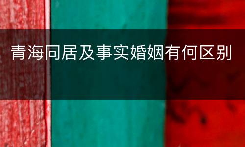 青海同居及事实婚姻有何区别