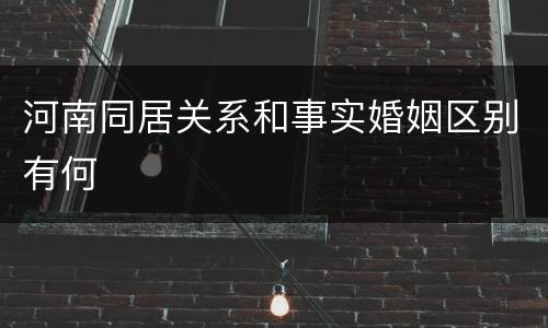 河南同居关系和事实婚姻区别有何