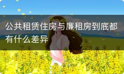 公共租赁住房与廉租房到底都有什么差异