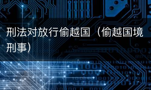 刑法对放行偷越国（偷越国境刑事）