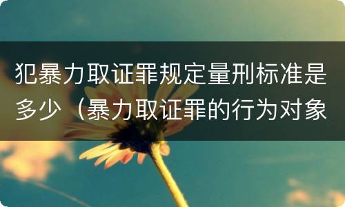 犯暴力取证罪规定量刑标准是多少（暴力取证罪的行为对象）