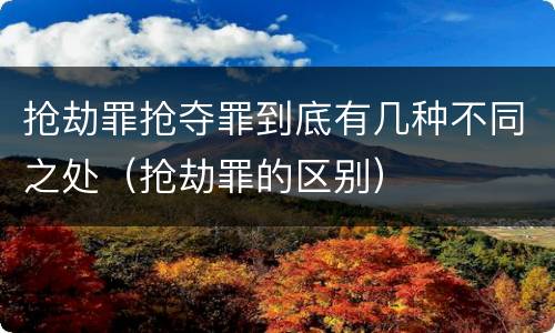 抢劫罪抢夺罪到底有几种不同之处（抢劫罪的区别）