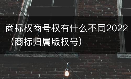 商标权商号权有什么不同2022（商标归属版权号）