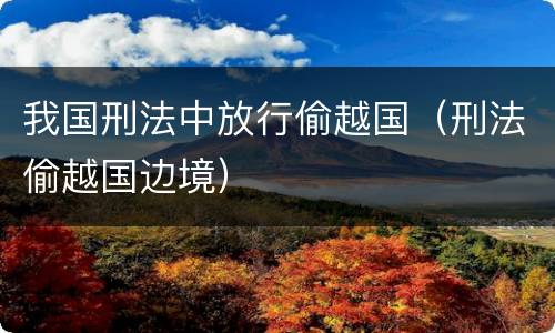 我国刑法中放行偷越国（刑法偷越国边境）