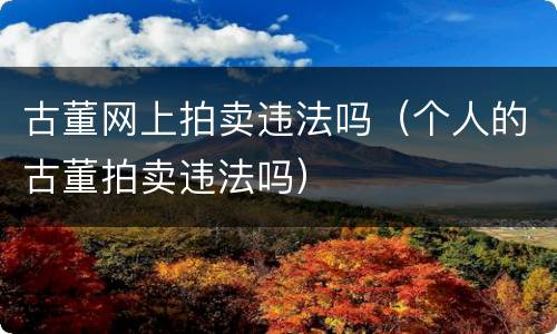 古董网上拍卖违法吗（个人的古董拍卖违法吗）