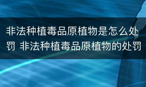 非法种植毒品原植物是怎么处罚 非法种植毒品原植物的处罚