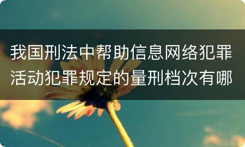 我国刑法中帮助信息网络犯罪活动犯罪规定的量刑档次有哪些