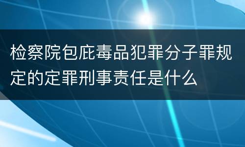 检察院包庇毒品犯罪分子罪规定的定罪刑事责任是什么
