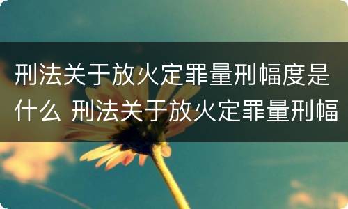 刑法关于放火定罪量刑幅度是什么 刑法关于放火定罪量刑幅度是什么意思