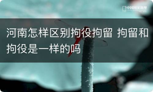 河南怎样区别拘役拘留 拘留和拘役是一样的吗