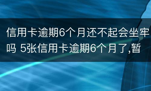信用卡逾期6个月还不起会坐牢吗 5张信用卡逾期6个月了,暂时没能力还
