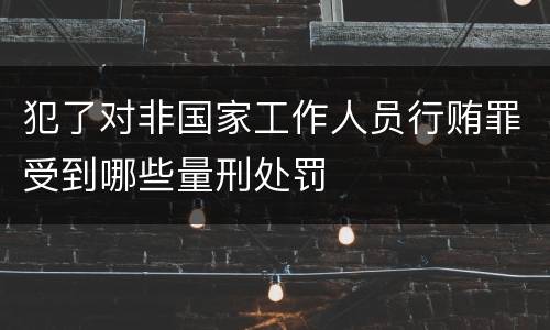 犯了对非国家工作人员行贿罪受到哪些量刑处罚