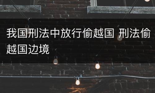 我国刑法中放行偷越国 刑法偷越国边境