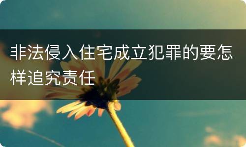 非法侵入住宅成立犯罪的要怎样追究责任