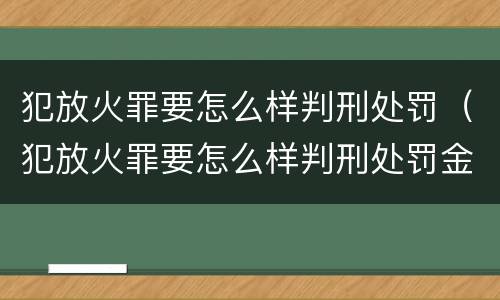 犯放火罪要怎么样判刑处罚（犯放火罪要怎么样判刑处罚金）