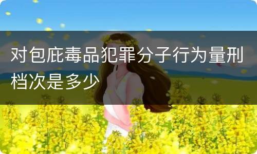 对包庇毒品犯罪分子行为量刑档次是多少