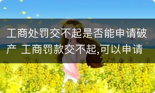 工商处罚交不起是否能申请破产 工商罚款交不起,可以申请破产吗