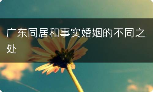 广东同居和事实婚姻的不同之处