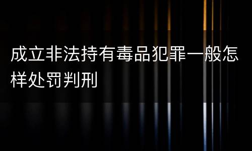成立非法持有毒品犯罪一般怎样处罚判刑