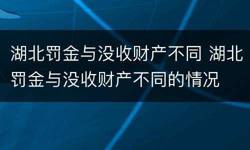 湖北罚金与没收财产不同 湖北罚金与没收财产不同的情况