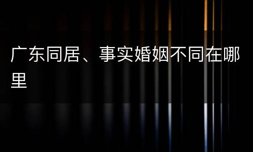 广东同居、事实婚姻不同在哪里