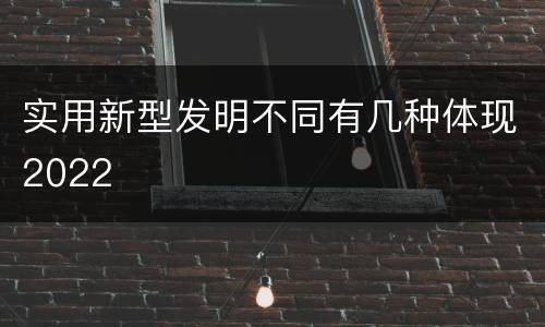 实用新型发明不同有几种体现2022