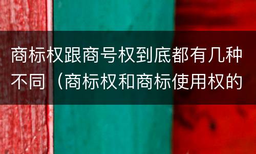商标权跟商号权到底都有几种不同（商标权和商标使用权的区别）
