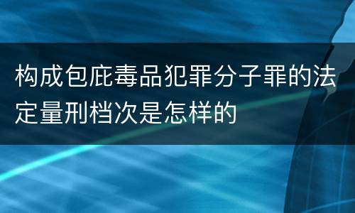 构成包庇毒品犯罪分子罪的法定量刑档次是怎样的