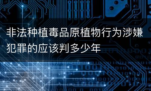 非法种植毒品原植物行为涉嫌犯罪的应该判多少年