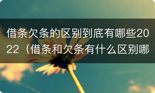 借条欠条的区别到底有哪些2022（借条和欠条有什么区别哪个更有法律）