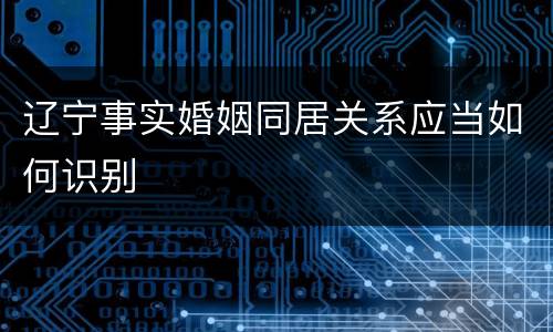 辽宁事实婚姻同居关系应当如何识别