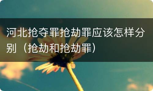 河北抢夺罪抢劫罪应该怎样分别（抢劫和抢劫罪）