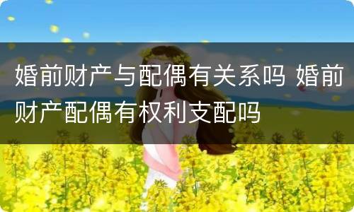 婚前财产与配偶有关系吗 婚前财产配偶有权利支配吗