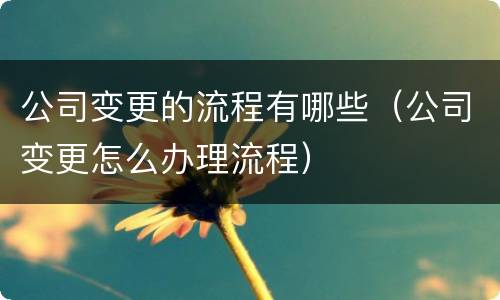 公司变更的流程有哪些（公司变更怎么办理流程）