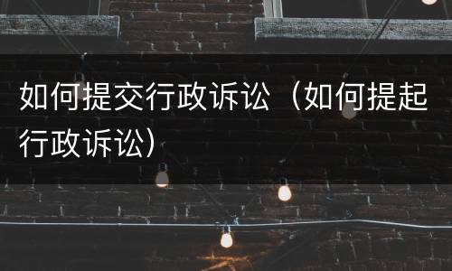 如何提交行政诉讼（如何提起行政诉讼）