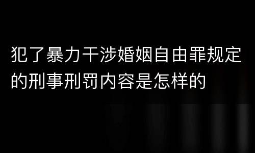 犯了暴力干涉婚姻自由罪规定的刑事刑罚内容是怎样的
