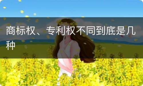 商标权、专利权不同到底是几种