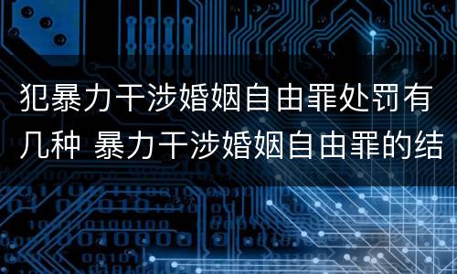 犯暴力干涉婚姻自由罪处罚有几种 暴力干涉婚姻自由罪的结果加重犯