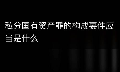 私分国有资产罪的构成要件应当是什么