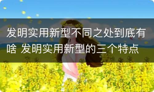 发明实用新型不同之处到底有啥 发明实用新型的三个特点