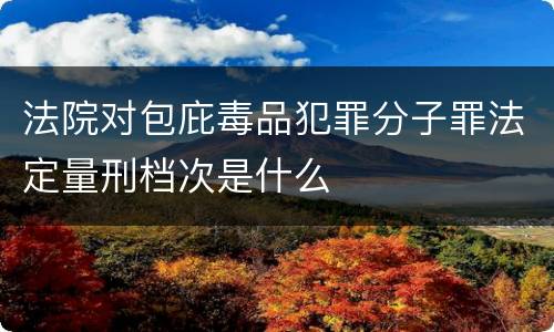 法院对包庇毒品犯罪分子罪法定量刑档次是什么