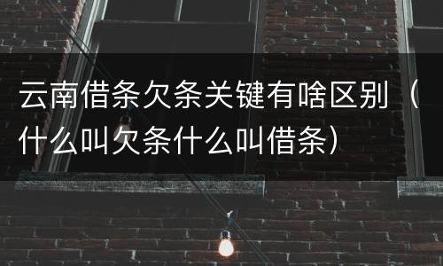 云南借条欠条关键有啥区别（什么叫欠条什么叫借条）