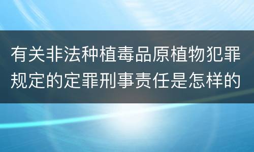 有关非法种植毒品原植物犯罪规定的定罪刑事责任是怎样的