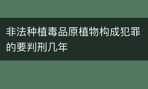 非法种植毒品原植物构成犯罪的要判刑几年