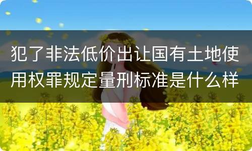 犯了非法低价出让国有土地使用权罪规定量刑标准是什么样