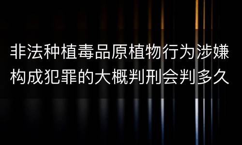 非法种植毒品原植物行为涉嫌构成犯罪的大概判刑会判多久