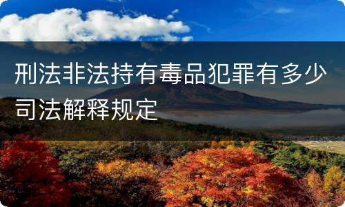 刑法非法持有毒品犯罪有多少司法解释规定